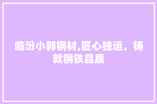 临汾小郭钢材,匠心独运，铸就钢铁品质