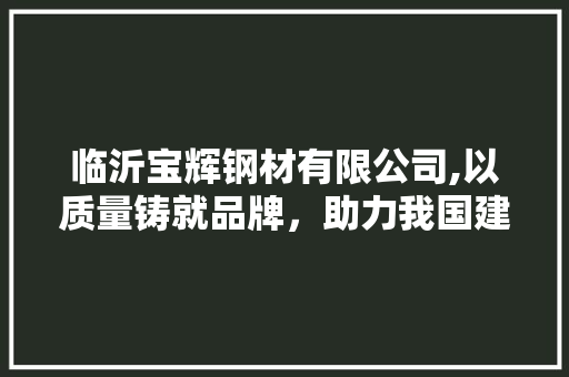 临沂宝辉钢材有限公司,以质量铸就品牌，助力我国建筑行业腾飞
