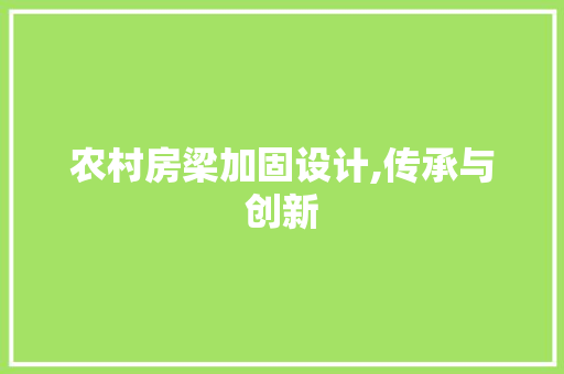 农村房梁加固设计,传承与创新