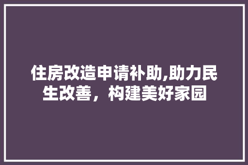 住房改造申请补助,助力民生改善，构建美好家园