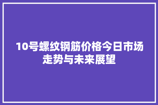 10号螺纹钢筋价格今日市场走势与未来展望