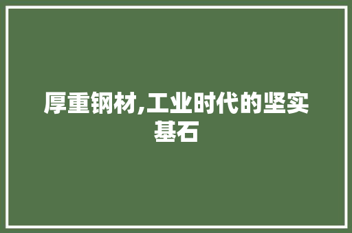 厚重钢材,工业时代的坚实基石