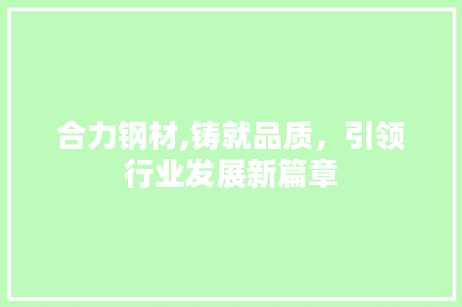 合力钢材,铸就品质，引领行业发展新篇章
