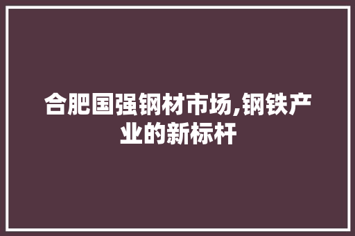 合肥国强钢材市场,钢铁产业的新标杆