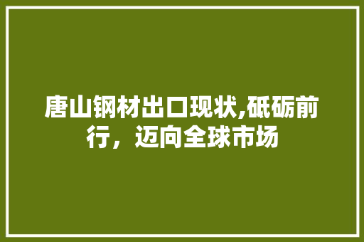 唐山钢材出口现状,砥砺前行，迈向全球市场