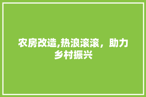 农房改造,热浪滚滚，助力乡村振兴