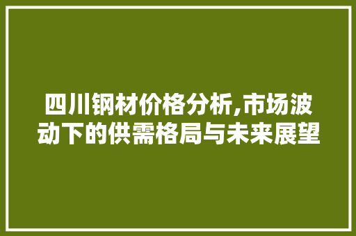 四川钢材价格分析,市场波动下的供需格局与未来展望