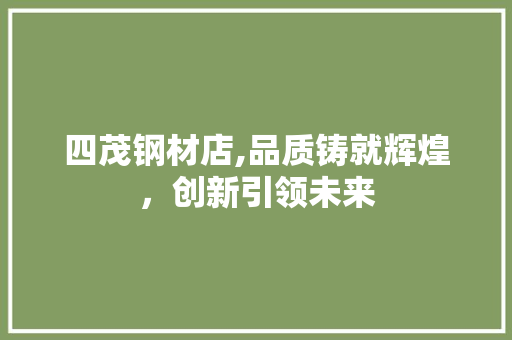 四茂钢材店,品质铸就辉煌，创新引领未来