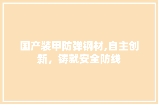 国产装甲防弹钢材,自主创新，铸就安全防线