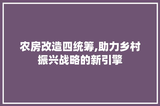 农房改造四统筹,助力乡村振兴战略的新引擎