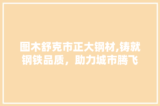 图木舒克市正大钢材,铸就钢铁品质，助力城市腾飞