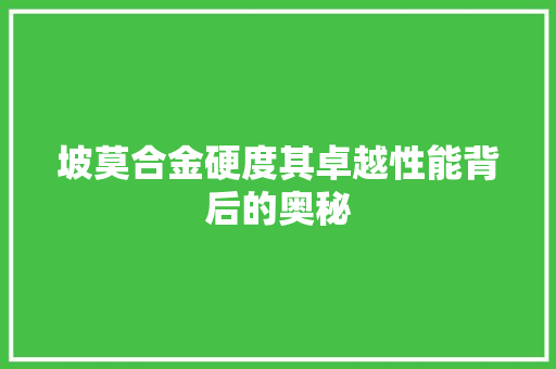 坡莫合金硬度其卓越性能背后的奥秘