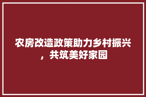 农房改造政策助力乡村振兴，共筑美好家园