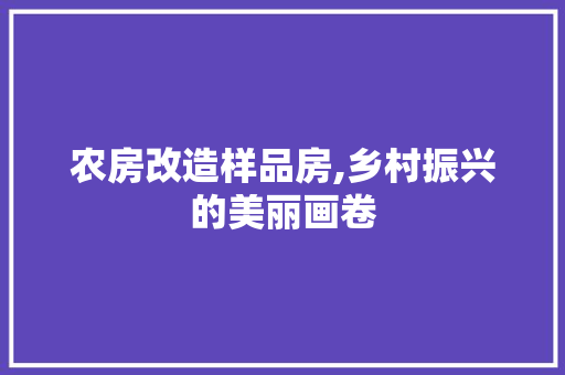 农房改造样品房,乡村振兴的美丽画卷