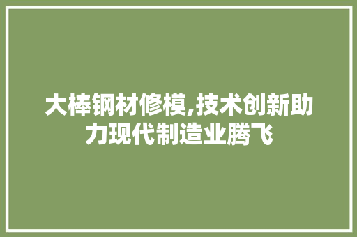 大棒钢材修模,技术创新助力现代制造业腾飞