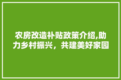 农房改造补贴政策介绍,助力乡村振兴，共建美好家园