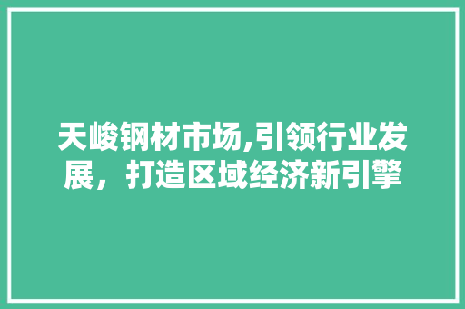 天峻钢材市场,引领行业发展，打造区域经济新引擎