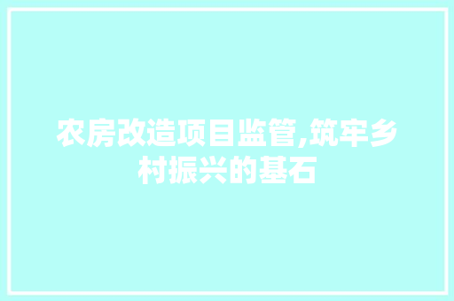 农房改造项目监管,筑牢乡村振兴的基石