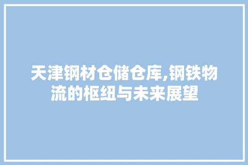 天津钢材仓储仓库,钢铁物流的枢纽与未来展望