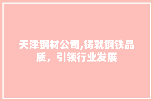 天津钢材公司,铸就钢铁品质，引领行业发展