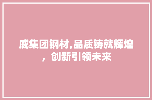 威集团钢材,品质铸就辉煌，创新引领未来