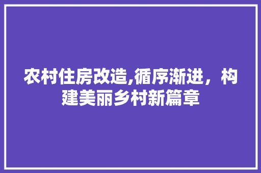农村住房改造,循序渐进，构建美丽乡村新篇章
