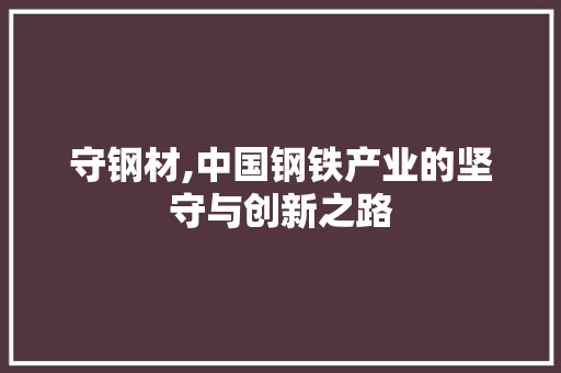守钢材,中国钢铁产业的坚守与创新之路