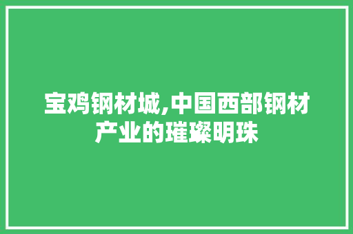 宝鸡钢材城,中国西部钢材产业的璀璨明珠