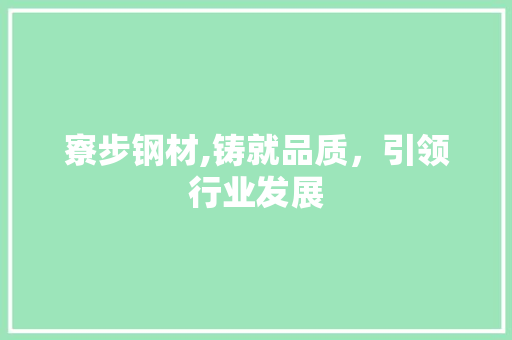 寮步钢材,铸就品质，引领行业发展