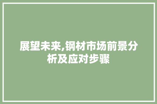 展望未来,钢材市场前景分析及应对步骤