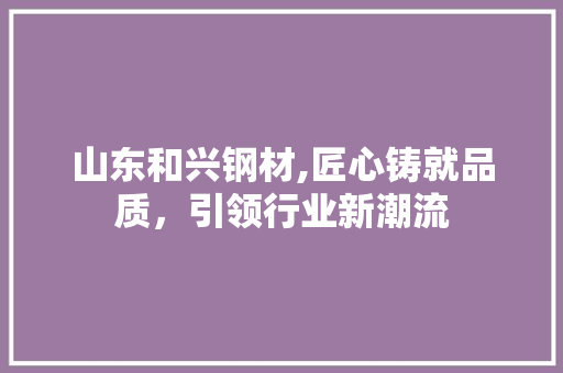 山东和兴钢材,匠心铸就品质，引领行业新潮流