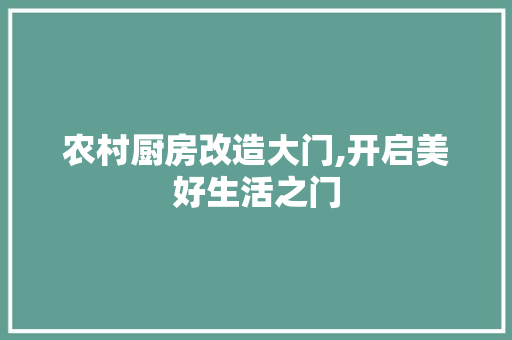 农村厨房改造大门,开启美好生活之门