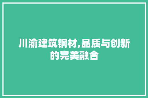 川渝建筑钢材,品质与创新的完美融合