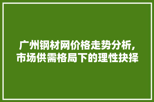 广州钢材网价格走势分析,市场供需格局下的理性抉择