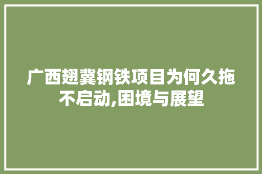 广西翅冀钢铁项目为何久拖不启动,困境与展望