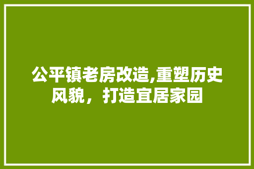 公平镇老房改造,重塑历史风貌，打造宜居家园