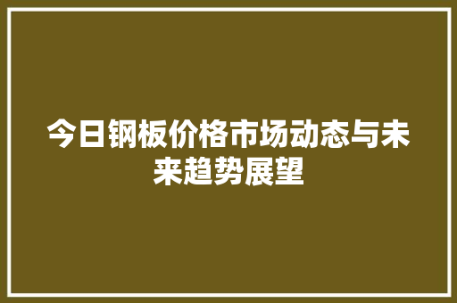 今日钢板价格市场动态与未来趋势展望