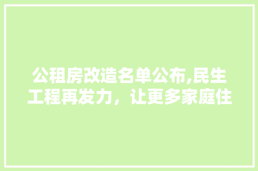 公租房改造名单公布,民生工程再发力，让更多家庭住有所居