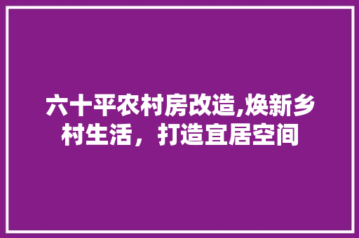六十平农村房改造,焕新乡村生活，打造宜居空间