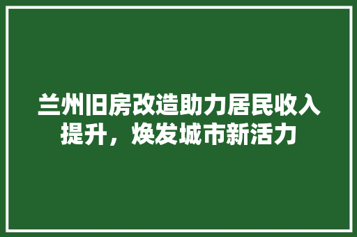 兰州旧房改造助力居民收入提升，焕发城市新活力