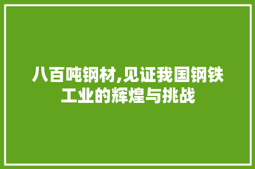 八百吨钢材,见证我国钢铁工业的辉煌与挑战