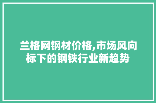 兰格网钢材价格,市场风向标下的钢铁行业新趋势
