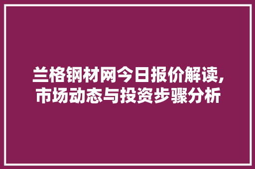 兰格钢材网今日报价解读,市场动态与投资步骤分析