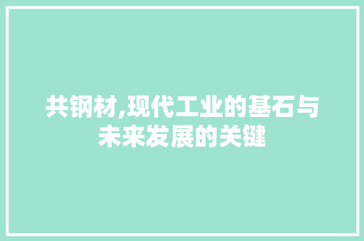 共钢材,现代工业的基石与未来发展的关键
