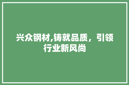 兴众钢材,铸就品质，引领行业新风尚