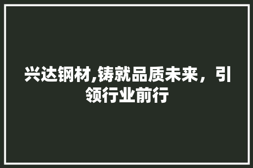 兴达钢材,铸就品质未来，引领行业前行