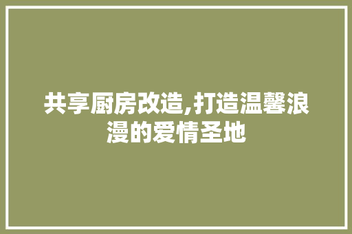 共享厨房改造,打造温馨浪漫的爱情圣地