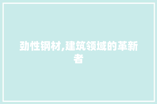劲性钢材,建筑领域的革新者