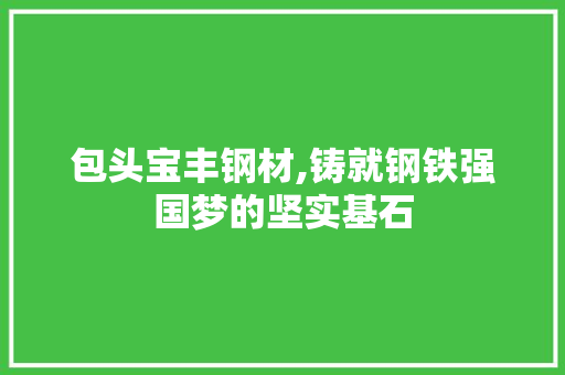 包头宝丰钢材,铸就钢铁强国梦的坚实基石