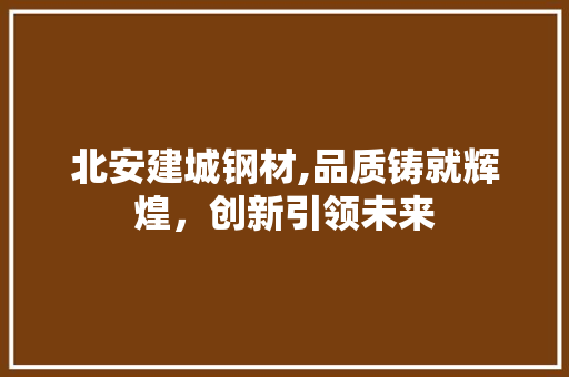 北安建城钢材,品质铸就辉煌，创新引领未来